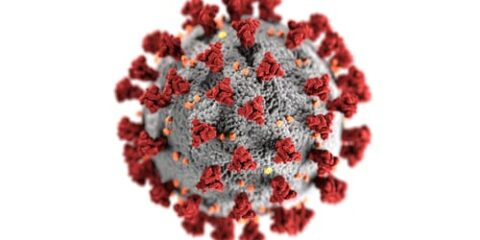 Coronavirus-attivazione-misure-precauzionali-poker-spa